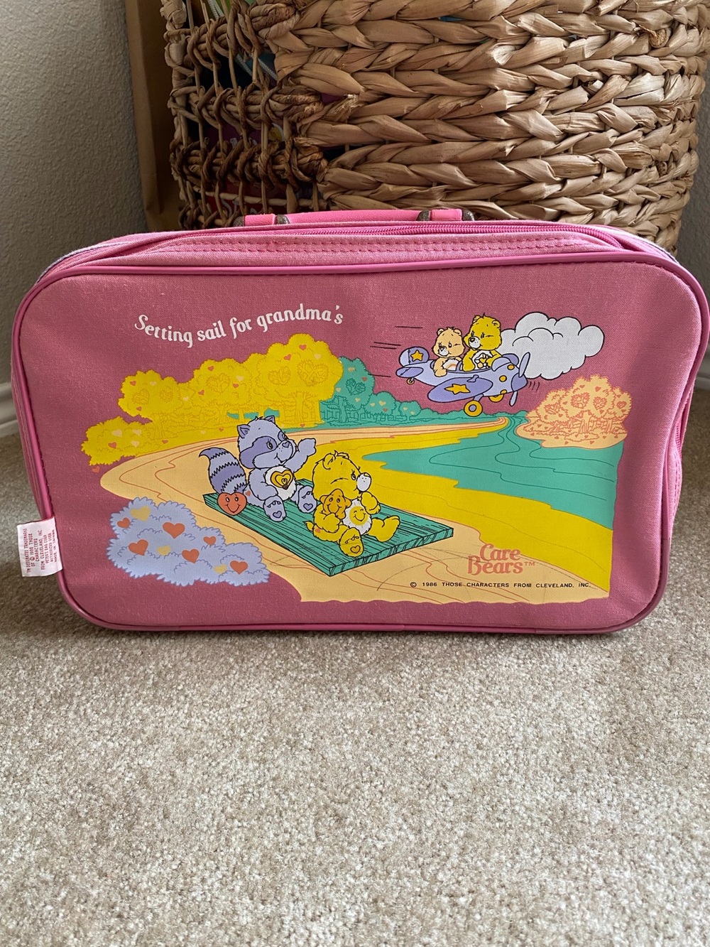 CARE BEARS Vintage 80s Setting Sail for Grandma’s Suitcase Travel Luggage Vacay
